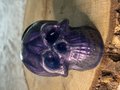 Skull Medium Resin Series 