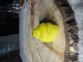 Cobra Snake Resin Series 