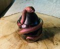 Snakes On The Mother F*****g Jars Series