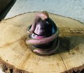 Snakes On The Mother F*****g Jars Series