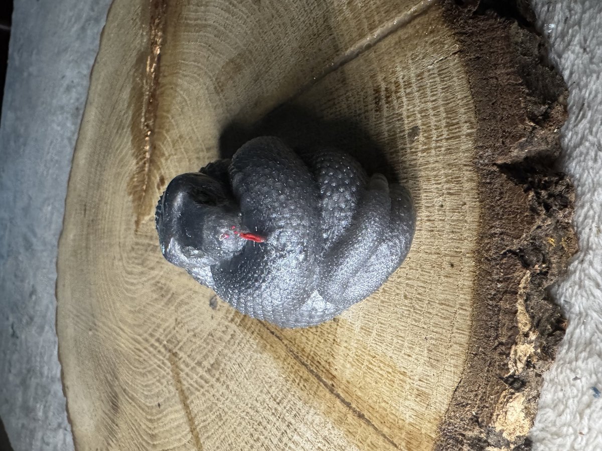 Cobra Snake Resin Series 