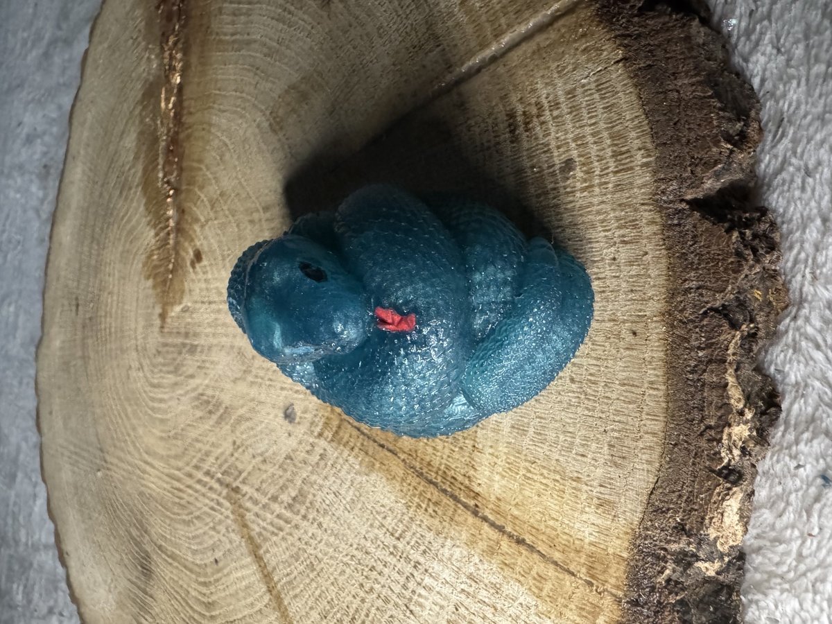 Cobra Snake Resin Series 