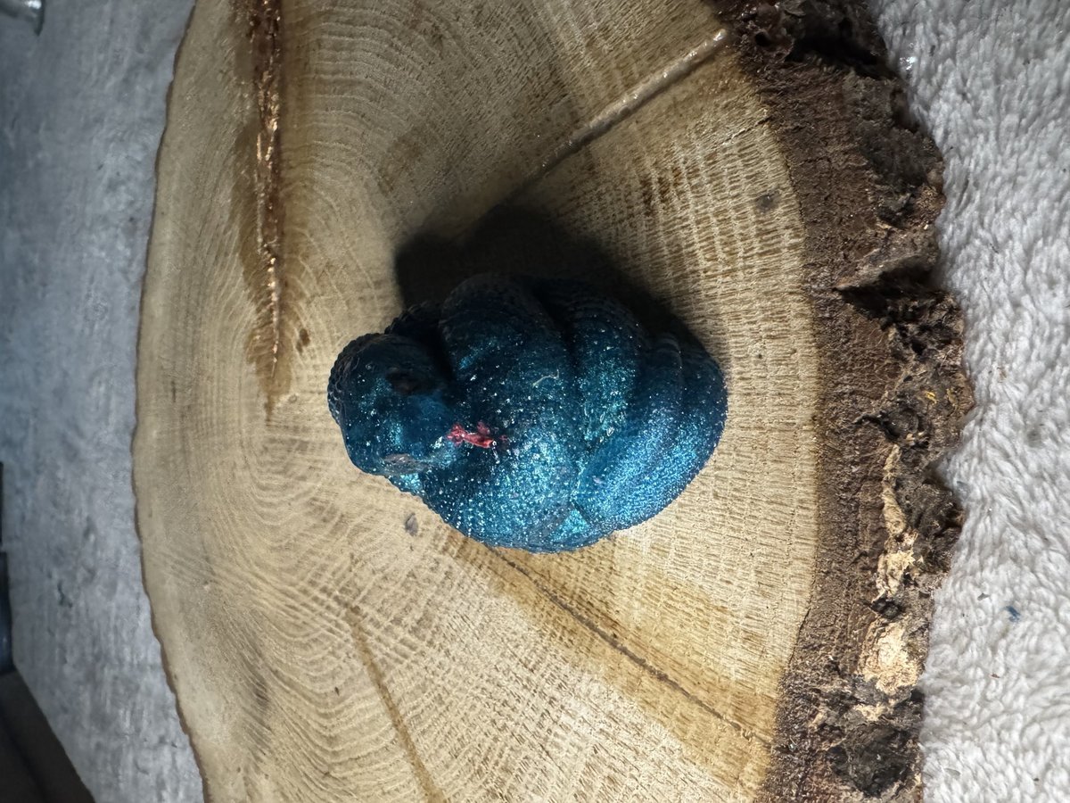 Cobra Snake Resin Series 