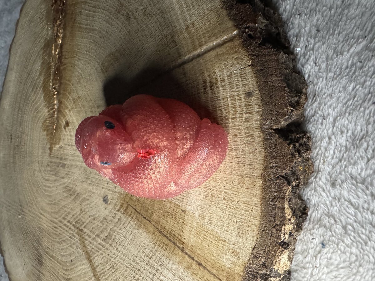 Cobra Snake Resin Series 